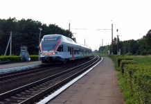 10 ýewrodan halkara otly petegi satylyp başlandy