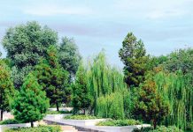 Туркменистан утвердил обновлённую стратегию сохранения биоразнообразия