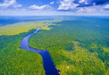 Amazonka – köprüsiz derýa