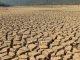 Участники COP27 объявили о создании Международного альянса по устойчивости к засухе