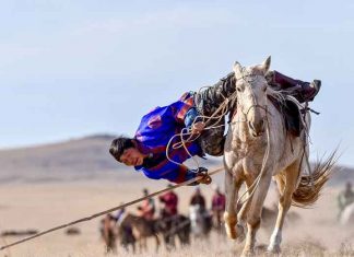В монгольском аймаке Хэнтий прошел ежегодный фестиваль лошадей