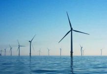 Ýel energiýasy gazdan arzan düşdi