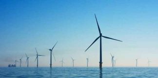 Ýel energiýasy gazdan arzan düşdi