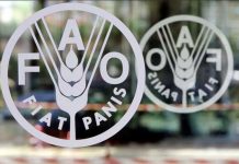 Azyk önümleri arzanlaýar