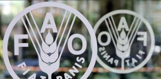 Azyk önümleri arzanlaýar