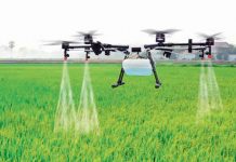 ИП «Has» внедряет инновационные технологии в сельском хозяйстве Туркменистана