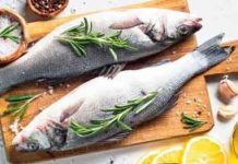 Balyk möwsümi başlady