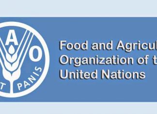 Цены на продовольствие снижаются уже 11 месяцев подряд