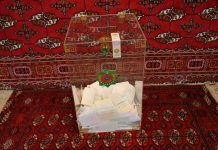 Saýlawlara ses berişlik başlandy