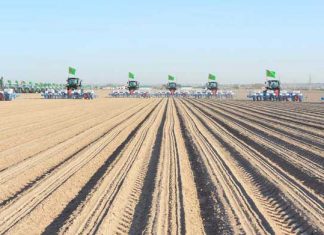 В Дашогузе стартовал сев хлопчатника