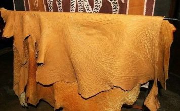 В Туркменистане планируют производство страусиной кожи