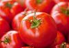Туркменские помидоры завоевывают рынки стран Содружества