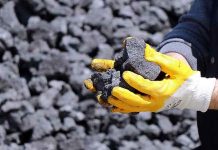 Mongol raýatlary kömür satuwyndan paý alar