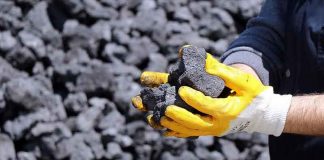 Mongol raýatlary kömür satuwyndan paý alar