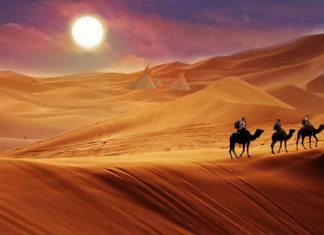 Молодых ученых ждут на международном конкурсе научных работ