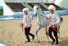 В Ашхабаде пройдет международный конкурс ахалтекинских коней