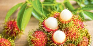 Topjagaza meňzeş «tüýli miwe»