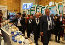 «Saglygy goraýyş, bilim we sport berkarar döwletiň täze eýýamynyň galkynyşy döwründe» atly halkara sergi geçiriler