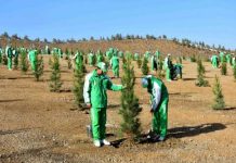 21-nji martda ählihalk bag ekmek dabarasyny geçirmek bellenildi