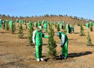 В Туркменистане прошла массовая экологическая акция