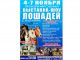 Международная выставка-шоу породистых лошадей “Осень-2023” открылась в Минске