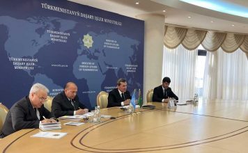 В МИД Туркменистана обсуждены вопросы экологии и охраны окружающей среды