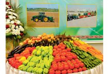 Президент Туркменистана отметил роль АПК в создании продовольственного изобилия в стране