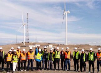 Туркменистан изучает лучшие практики устойчивой энергетики Грузии