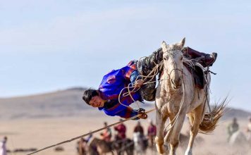 Монголия проведет ежегодный фестиваль “Лошади монгольских степей” с целью содействия развитию зимнего туризма