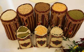 Президент Туркменистана поздравил соотечественников с Праздником урожая