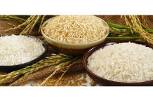 В Туркменистане подписано Постановление о производстве риса в 2026 году