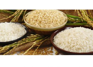 Северный регион Туркменистана готовится к посевной риса