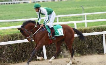 В Ашхабаде реконструируют ипподром