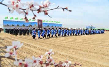 В Туркменистане стартовала кампания по севу хлопчатника
