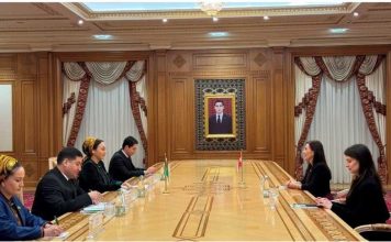 В Ашхабаде состоялась встреча с главой Межпарламентской группы дружбы «Австрия–Туркменистан»