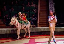 Täze sahnalaşdyrylan sirk çykyşlary