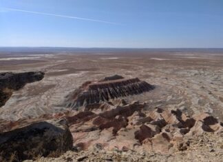 В Туркменистане внедряются новые цифровые технологии для охраны природы