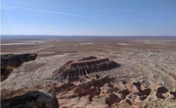 В Туркменистане внедряются новые цифровые технологии для охраны природы