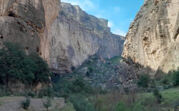 Туркменистан продвигает Койтендагский заповедник в список ЮНЕСКО