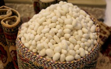 В Туркменистане издали учебник по шелководству