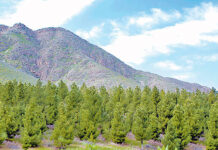 Tebigatymyzy ýangyn howpundan goralyň!