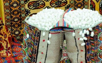 В Туркменистане произведут 2100 тонн коконов шелкопряда