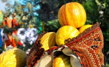 В туркменских велаятах продолжаются сезонные сельхозкампании