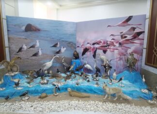 В туркменской Авазе состоялась конференция, посвященная Дню Каспия