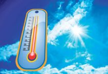 Kadalary berk berjaý ediň!