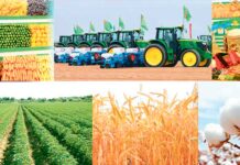 Şu ýylyň on aýynda ýurdumyzda jemi içerki önümiň ösüşi 6,3 göterime deň boldy