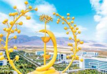 Президент Туркменистан утвердил стратегию научно-медицинской дипломатии