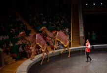 Sirk tomaşasyny görmäge geliň!