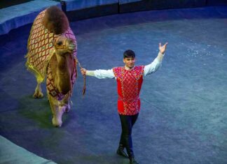 Государственный цирк Туркменистана представил праздничное шоу