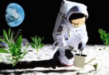 “SpaceX” adamyň Aýyň üstüne gonjak möhletini mälim etdi